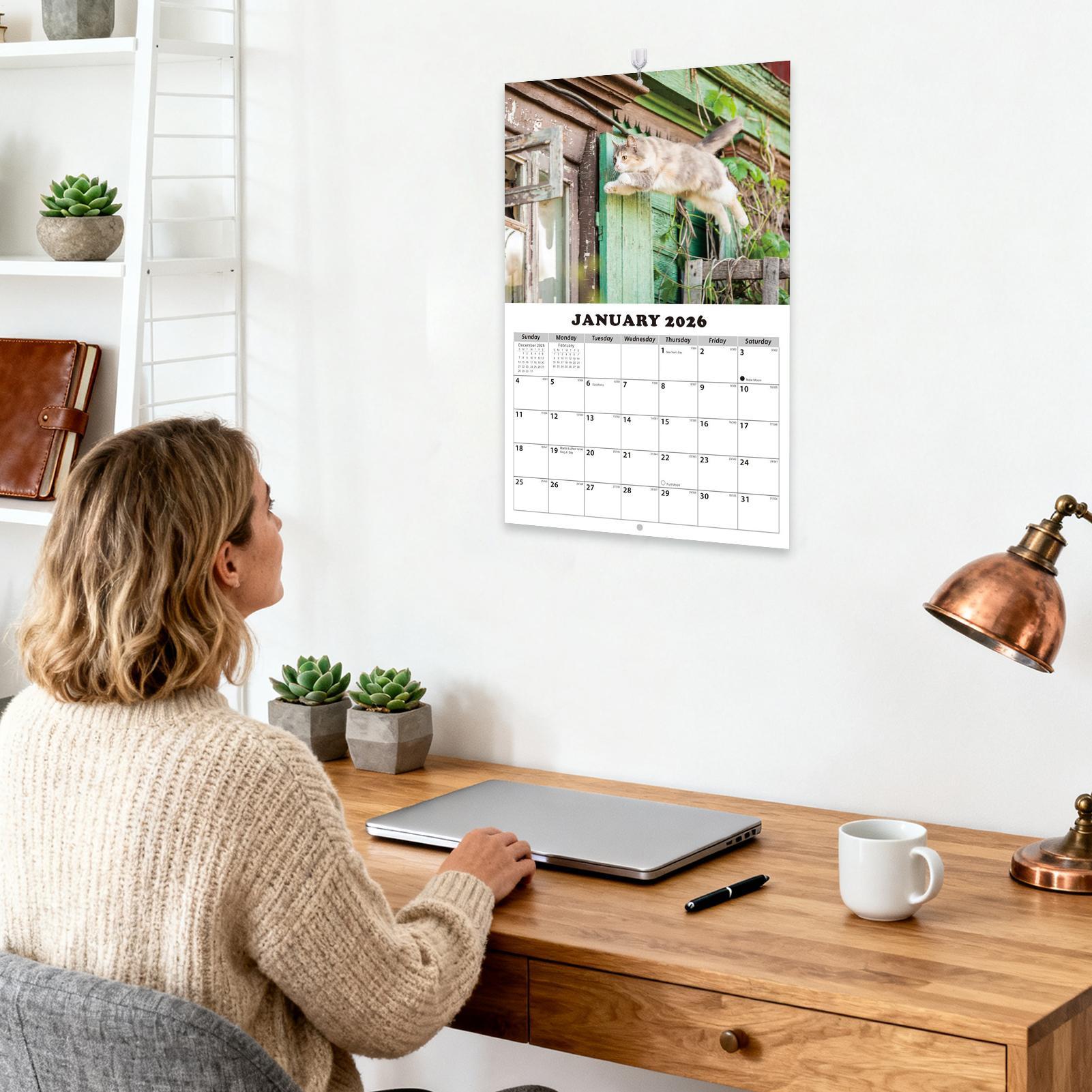2026 Cat English Wall Calendar - đánh giá và giá English Home Office