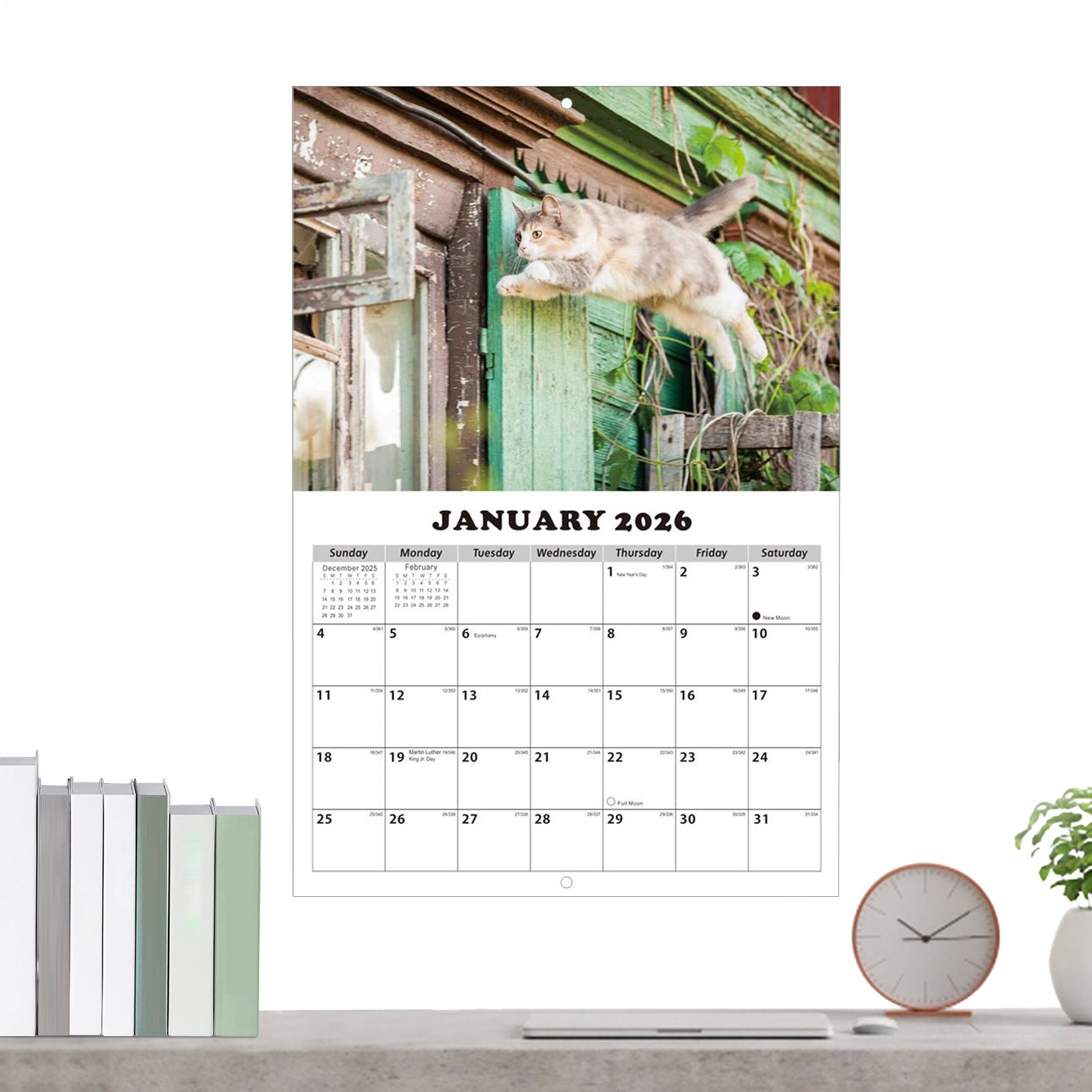 2026 Cat English Wall Calendar - đánh giá và giá English Home Office