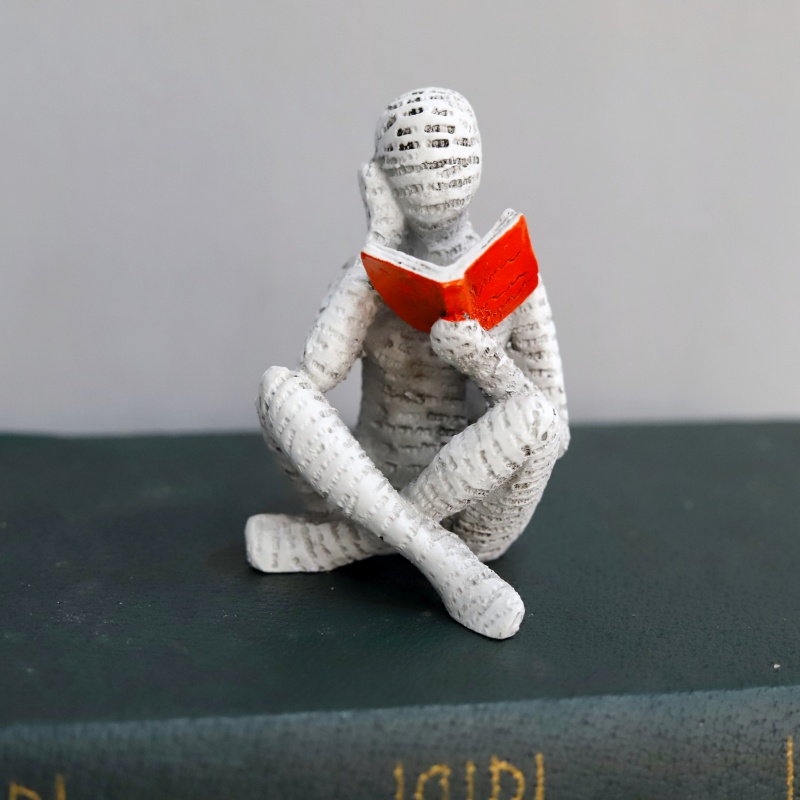 1Pc, Reading Paper Pulp Woman  - đánh giá và giá Home Office With Bookshelves