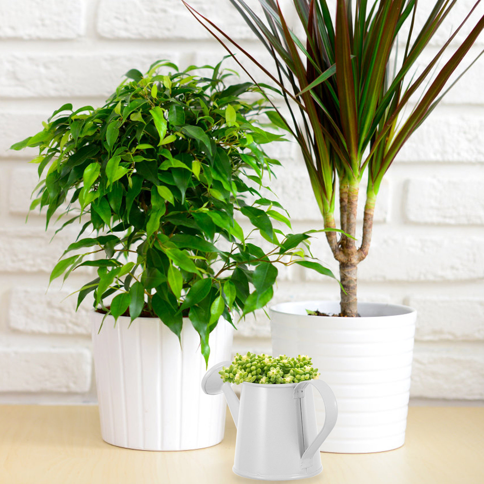 Miniature Iron Watering Can fo - đánh giá và giá Home Office With Bookshelves